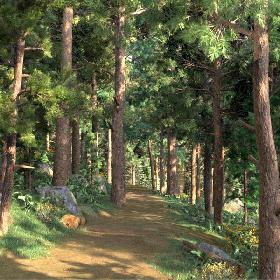 3D Jungle With Road For Biking and Hiking model